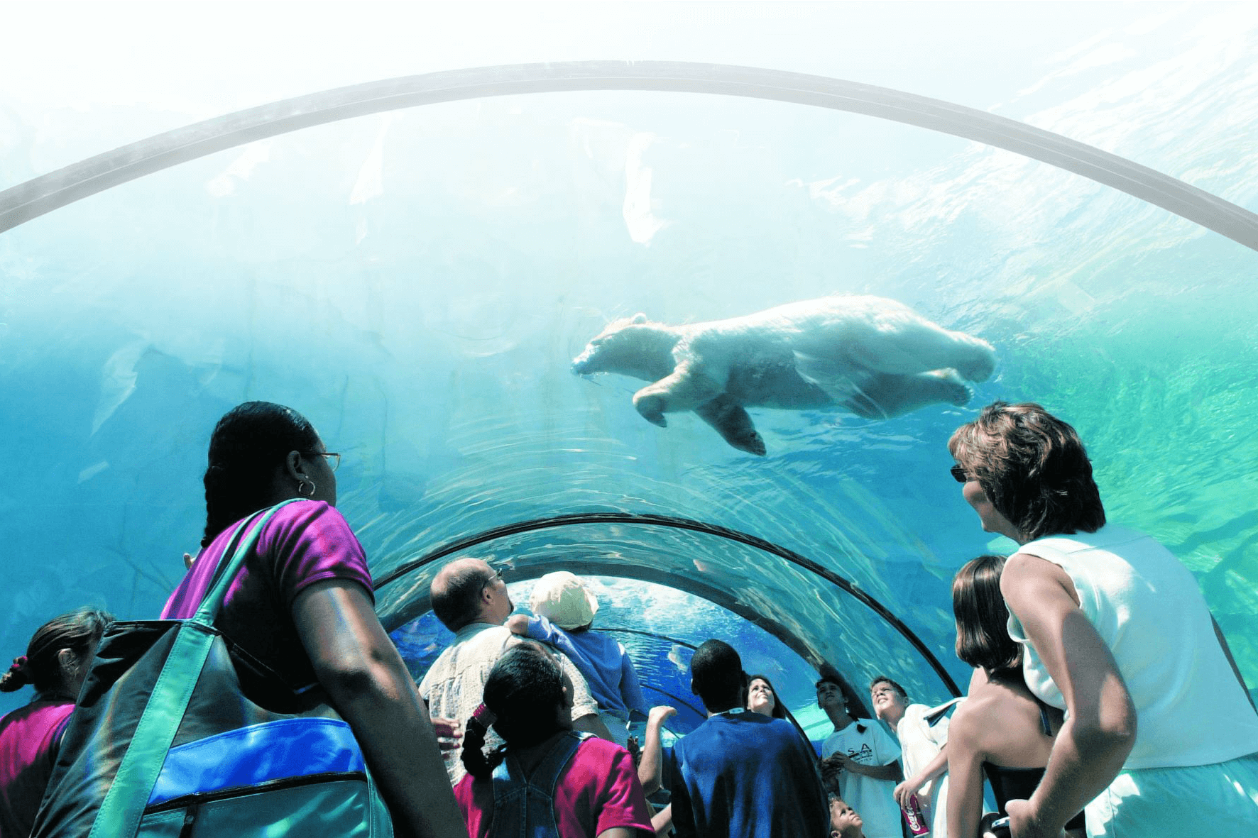 OUR FAVORITE PLACES TO SEE ANIMALS